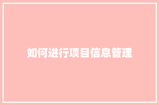 如何进行项目信息管理