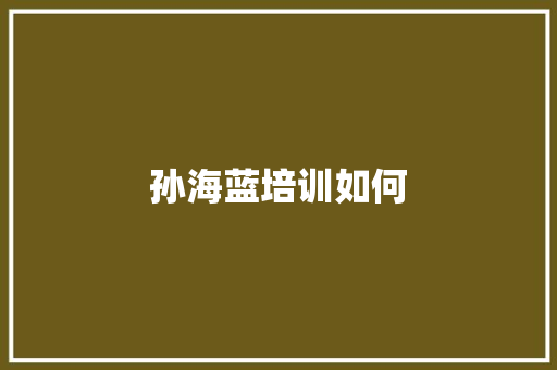 孙海蓝培训如何 汉字拼音