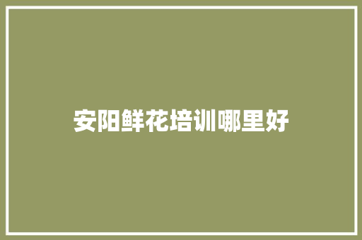 安阳鲜花培训哪里好