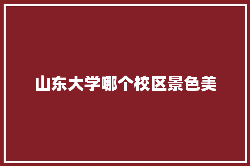 山东大学哪个校区景色美