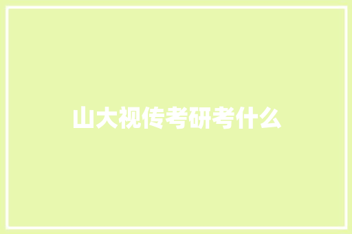 山大视传考研考什么