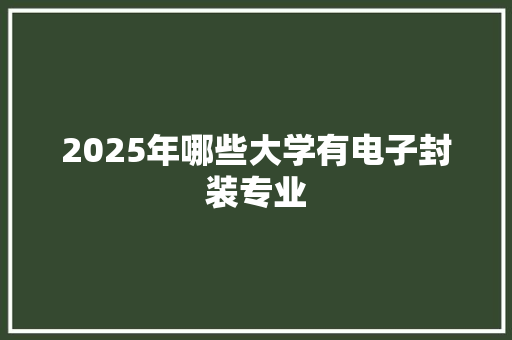 2025年哪些大学有电子封装专业
