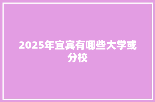2025年宜宾有哪些大学或分校
