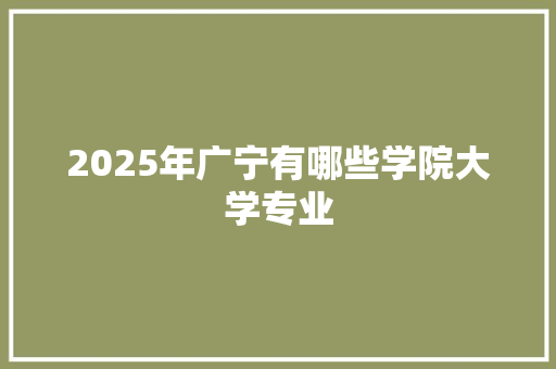 2025年广宁有哪些学院大学专业