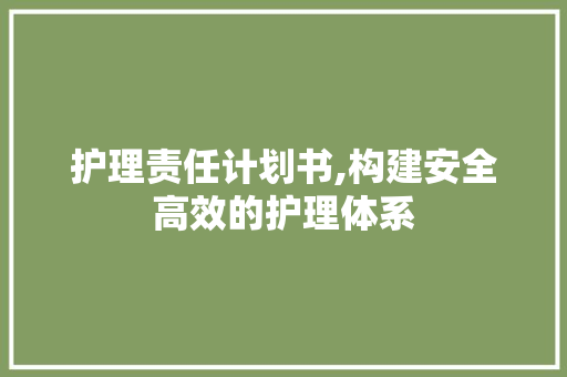 护理责任计划书,构建安全高效的护理体系