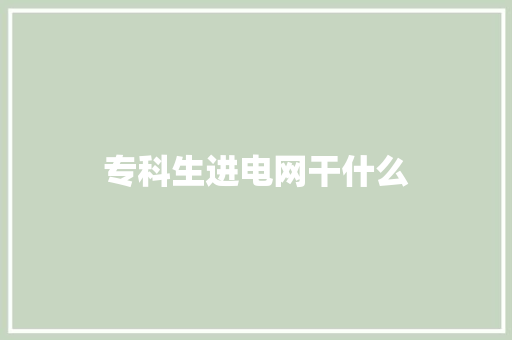 专科生进电网干什么