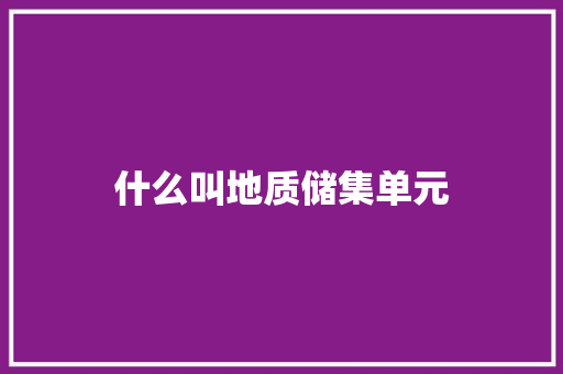 什么叫地质储集单元
