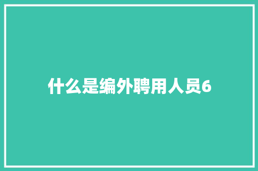 什么是编外聘用人员6