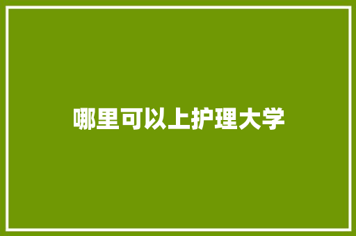 哪里可以上护理大学