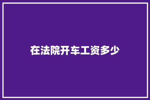 在法院开车工资多少