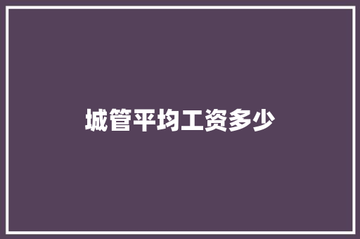城管平均工资多少 短语