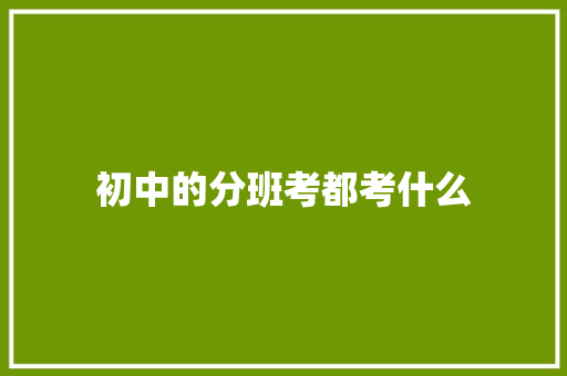 初中的分班考都考什么