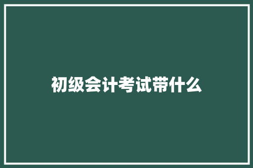 初级会计考试带什么