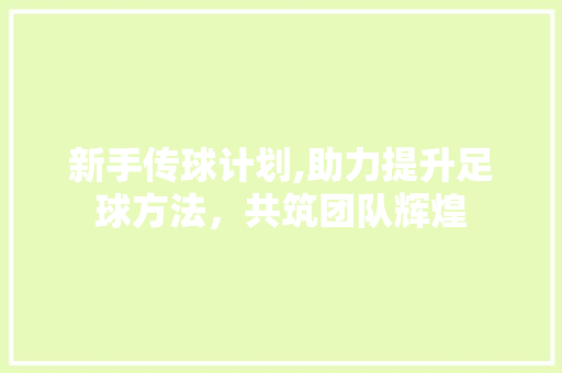 新手传球计划,助力提升足球方法，共筑团队辉煌
