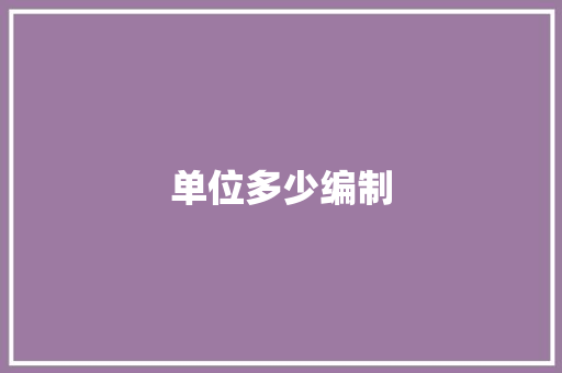 单位多少编制