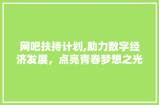 网吧扶持计划,助力数字经济发展，点亮青春梦想之光