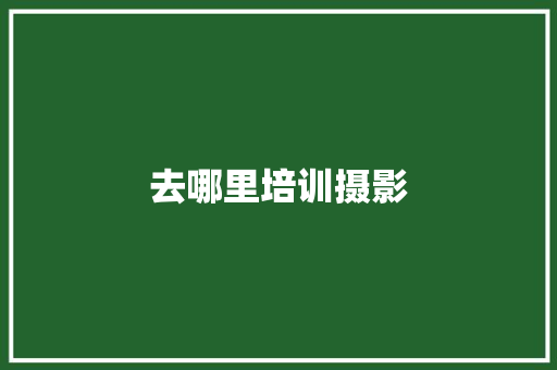 去哪里培训摄影
