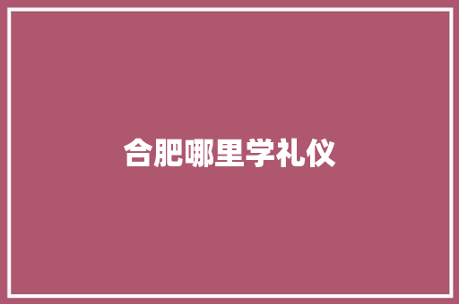 合肥哪里学礼仪