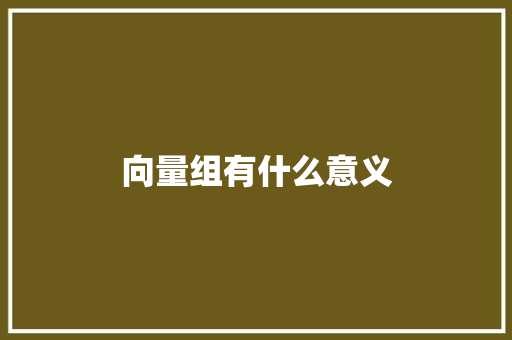 向量组有什么意义