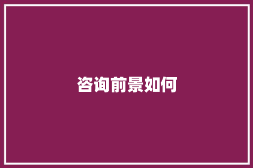 咨询前景如何