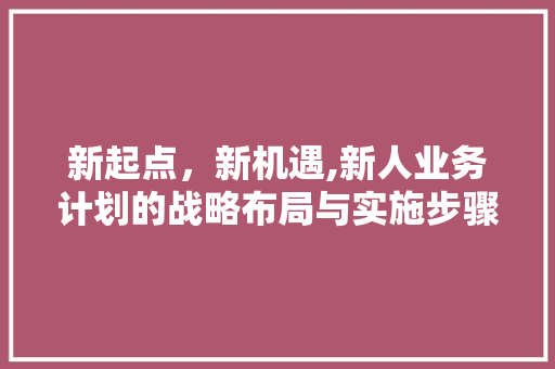 新起点，新机遇,新人业务计划的战略布局与实施步骤