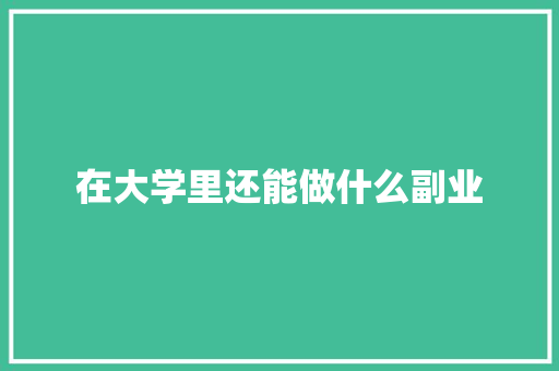 在大学里还能做什么副业