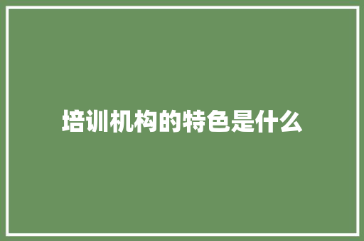 培训机构的特色是什么
