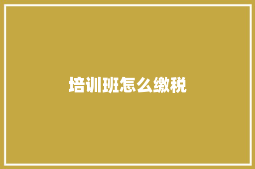 培训班怎么缴税