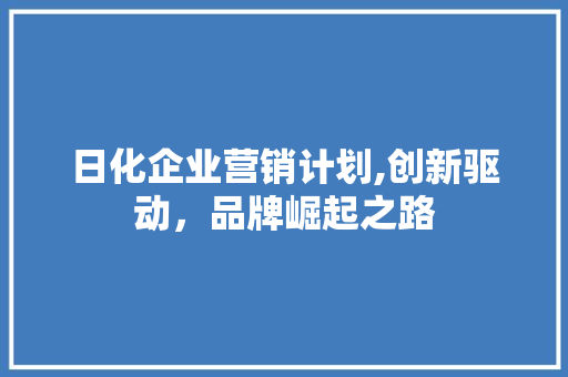 日化企业营销计划,创新驱动，品牌崛起之路