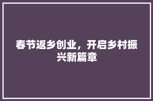 春节返乡创业，开启乡村振兴新篇章
