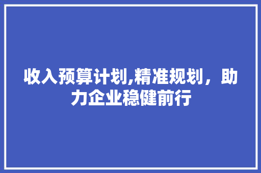 收入预算计划,精准规划，助力企业稳健前行