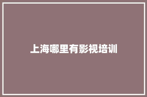 上海哪里有影视培训