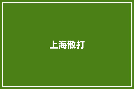 上海散打