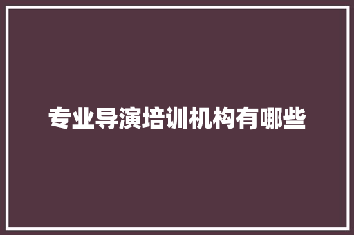 专业导演培训机构有哪些
