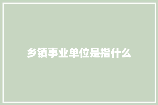 乡镇事业单位是指什么