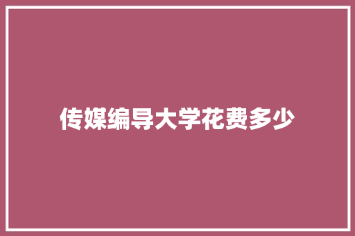 传媒编导大学花费多少