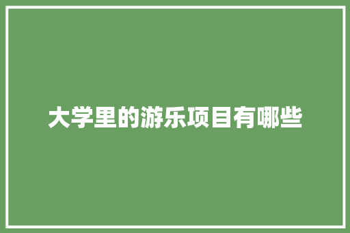大学里的游乐项目有哪些