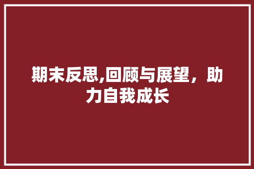 期末反思,回顾与展望，助力自我成长