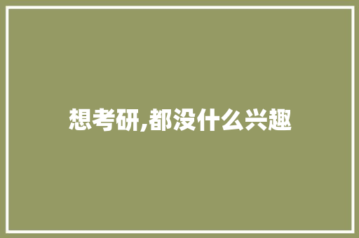 想考研,都没什么兴趣 短语