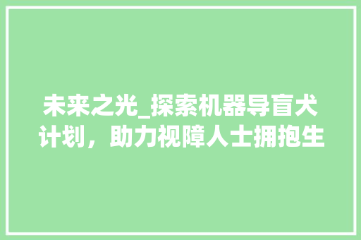 未来之光_探索机器导盲犬计划，助力视障人士拥抱生活 短语