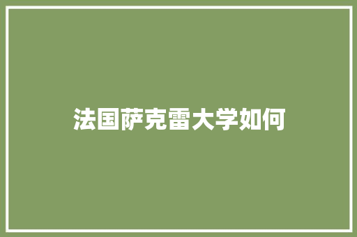 法国萨克雷大学如何