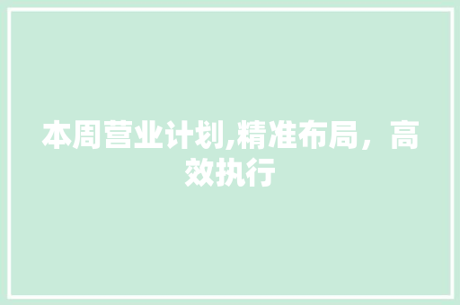本周营业计划,精准布局，高效执行