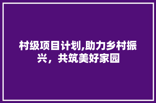 村级项目计划,助力乡村振兴，共筑美好家园