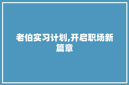 老伯实习计划,开启职场新篇章