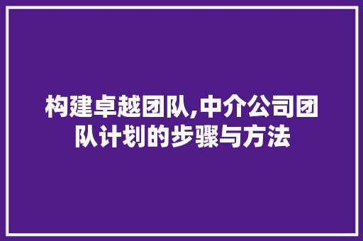 构建卓越团队,中介公司团队计划的步骤与方法