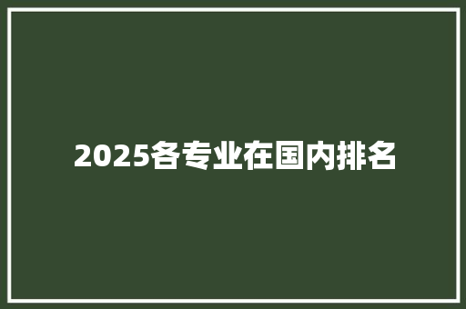 2025各专业在国内排名
