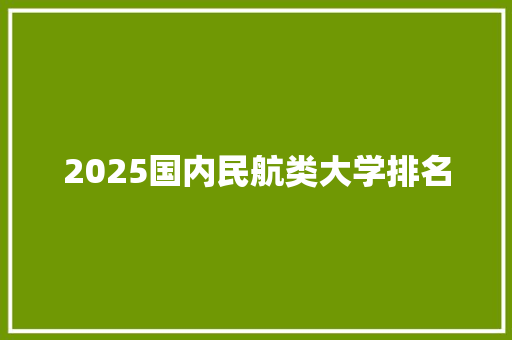 2025国内民航类大学排名
