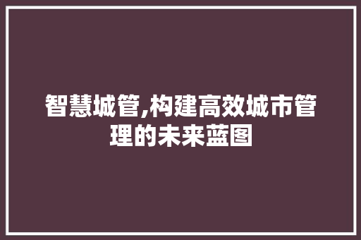 智慧城管,构建高效城市管理的未来蓝图