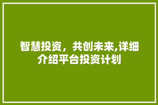 智慧投资，共创未来,详细介绍平台投资计划