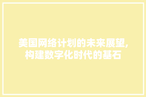 美国网络计划的未来展望,构建数字化时代的基石
